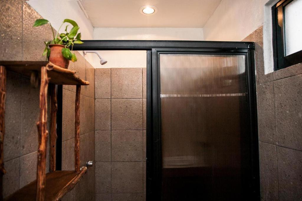The All Inclusive Hostel - Food, Drinks And Transportation To The Beach And Cenotes Tulum Exterior photo